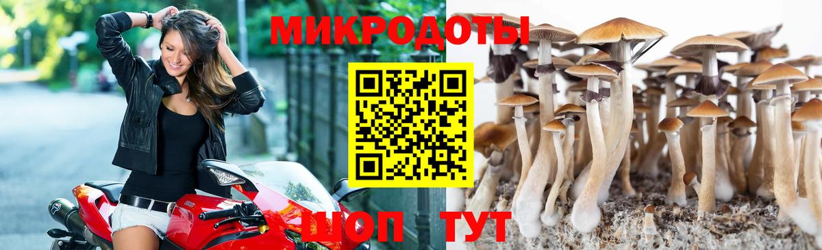 Псилоцибиновые грибы мухоморы  Вход с VPN  Ачхой-Мартан  Галлюциногенные грибы Psilocybe 